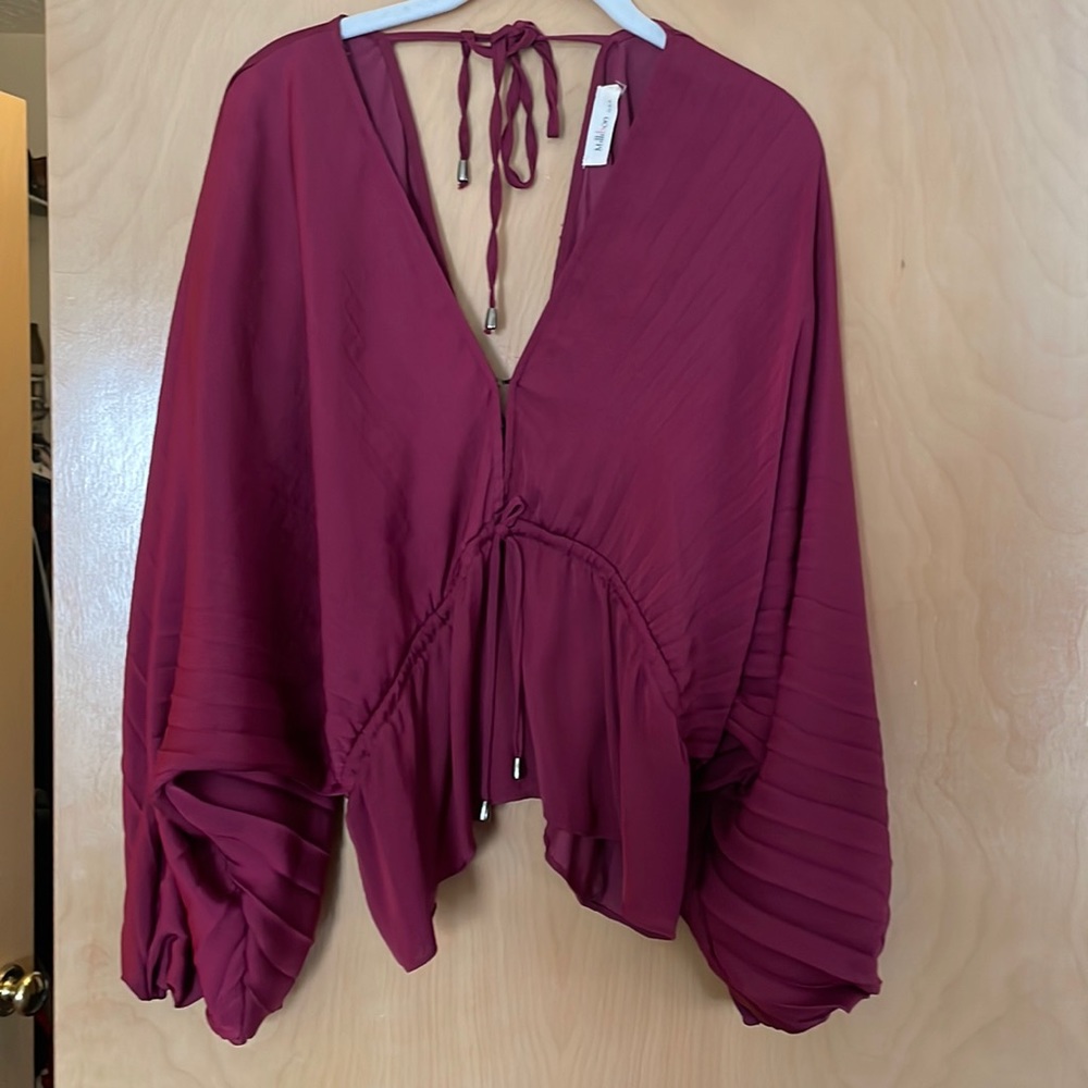 Burgundy Blouse